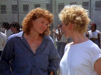    (1986)