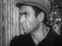 Владимир Заманский