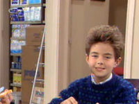  (1991-1995)