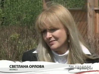    (2006)