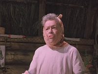,   ... (1982)