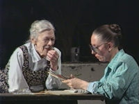     (1988)
