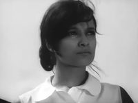    (1969)