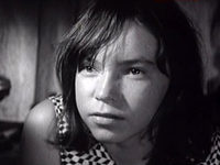   (1971)