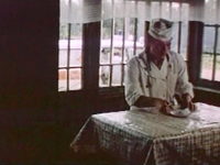  (1982)
