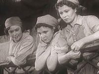    (1956)