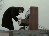   (1982)