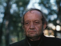  (1988)