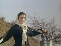   (1971)