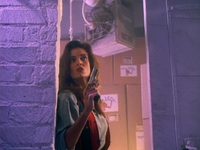     (1993)