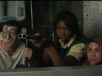   (2017)