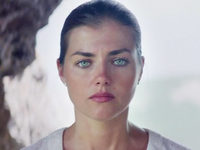  (2017)