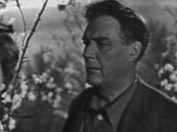  (1964)