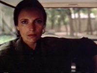  ( ) (1993)