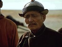     (1981)
