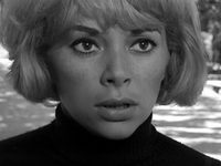  (1966)