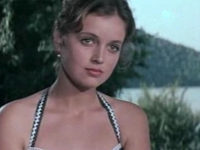    (1982)