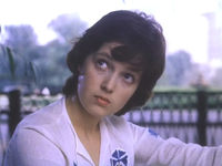     (1981)