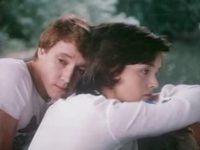    (1981)