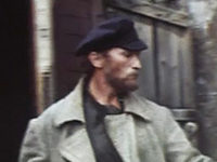    (1981)