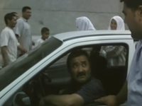   (2007)