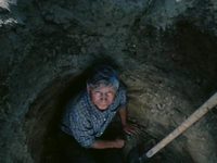   (1987)