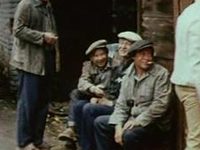    (1979)