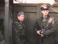    (1987)
