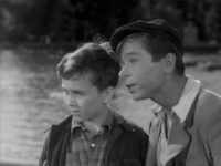   (1955)