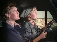   (1955)