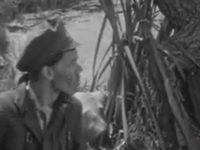  (1964)