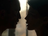   (2017)