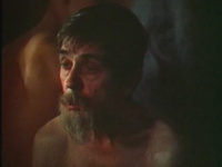  (1981)