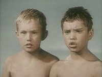    (1953)