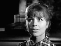   - (1966)