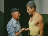    (1981)