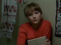   (1982)