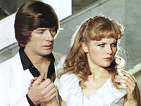  (1982)