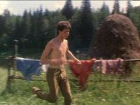    (1982)