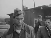     (1976)