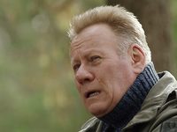  -20 (2020)
