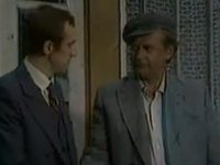    (1981)