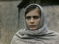  ,     (1973)