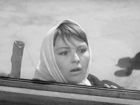 Ко мне, Мухтар! (1964)