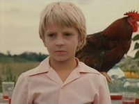    (1975)
