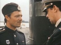    (1981)