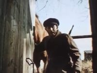   ! (1981)