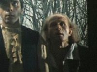 ,    (1982)