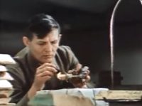     (1971)