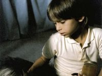   ,    (2003)